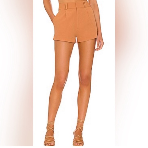 Amuse Society Sydney Shorts in Russet, size S - Picture 1 of 4